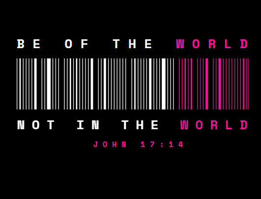 Be of the World Christian Hoodie - Pink
